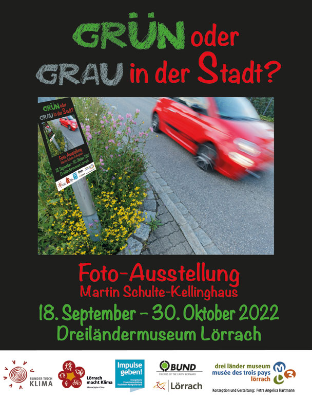 gruen_graue_Stadt